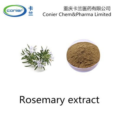 Ekstrak Rosemary